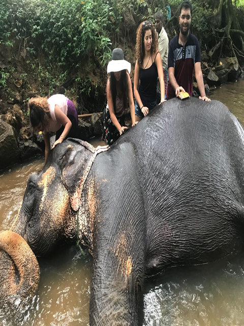 微信图片_20180905203604 微信图片_20180905203604